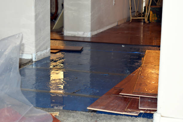 Professional Water Damage technician working in Hunter, OH